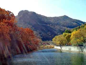 管家婆黑白马报图库，宝来论坛